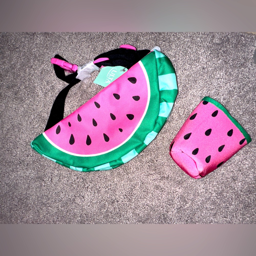 NWT watermelon 🍉 Fanny pack and cooler cup